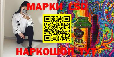 2c-b Камышлов