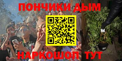2c-b Камышлов