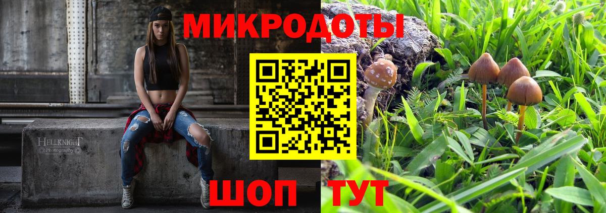 Псилоцибиновые грибы мицелий Коряжма