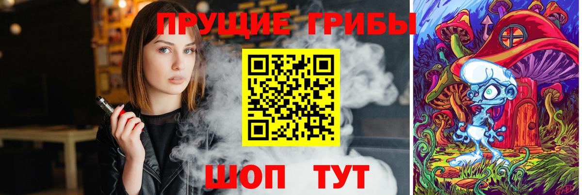 Коряжма  Галлюциногенные грибы мицелий  закладка  Вход с VPN 